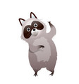 funny cute raccoon character kids vector image