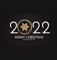 happy 2022 new year elegant christmas vector image