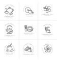 set design monochrome templates logo vector image