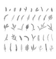 floral with branches vector image vector image
