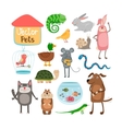 pets vector image