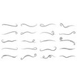 swirl line elements calligraphy vintage vector image