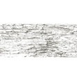 grunge wooden texture of old driftwood vector image
