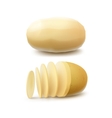 set of raw whole peeled and sliced potatoes vector image