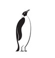 stylized penguin vector image