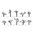 naked trees silhouettes set hand drawn isolated vector image