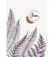 background with leaves of fern vector image vector image