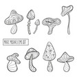 set of stylized magic mushrooms vector image