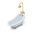bath vector image vector image