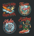hawaii surfing vintage colorful badges vector image vector image