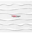 realistic torn paper edges collection on gray vector image