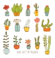 beautiful set of hand drawn houseplants vector image