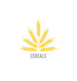 line style logotype template with wheat vector image vector image