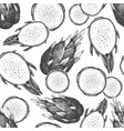 hand drawn dragon fruit seamless pattern organic vector image