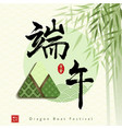 chinese dragon boat festival with rice dumpling vector image