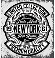 vintage new york typography t-shirt graphics vector image vector image