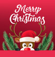 christmas flyer design cute cartoon reindeer vector image