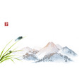 cicada and little snail on leaves of grass vector image vector image