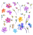 set of isolated watercolor flowers vector image vector image