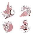 wine and grapes vector image