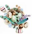 with easter eggs bird nest feathers vector image vector image