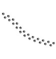 dog footprint way cat footprint icon vector image