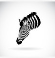 an zebra head on white background wild animals vector image