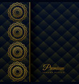 luxury ornamental mandala decoration background vector image