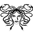 meduse gorgona vector image