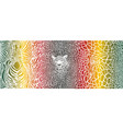 color pattern background with zebra leopard vector image