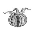 pumpkin coloring book vector image