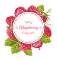 raspberry round banner vector image vector image