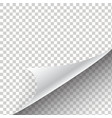 curled corner of paper with shadow vector image