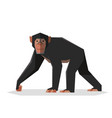 flat geometric chimpanzee vector image vector image