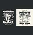 hawaii surfing vintage badge vector image