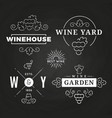 hipster wine logo or baners design on chalkboard vector image