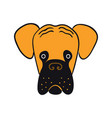 boxer cute cartoon dog puppy vector image