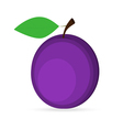 plum vector image