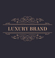 luxury brand vintage gold logotype with ornaments vector image vector image