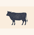 beef cow poster for butchery meat shop vector image vector image