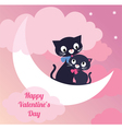 card valentines day couple of lovers cats vector image vector image