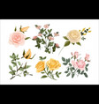 watercolor floral yellow rose leaves bouquet vector image