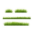 green grass frame with white background vector image vector image
