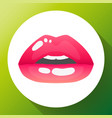red lips of sexy womans lips vector image vector image