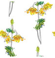 seamless pattern with yellow flower vector image vector image