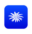 camomile flower icon blue vector image vector image