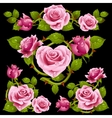 pink rose design elements vector image vector image