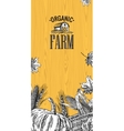 organic farm with leaves pumpkin corn cob ear vector image
