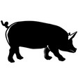 a pig silhouette farm animal silhouette graphic vector image vector image