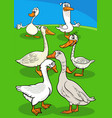 cartoon geese farm birds animal characters group vector image